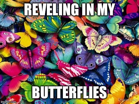 butterfly memes funny|animated butterfly meme.